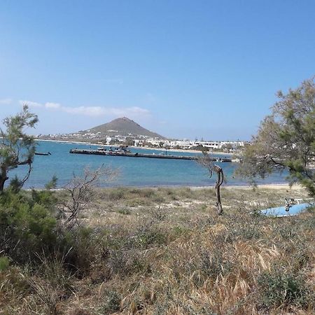 Chez Irene Sweet Pension Naxos City Экстерьер фото