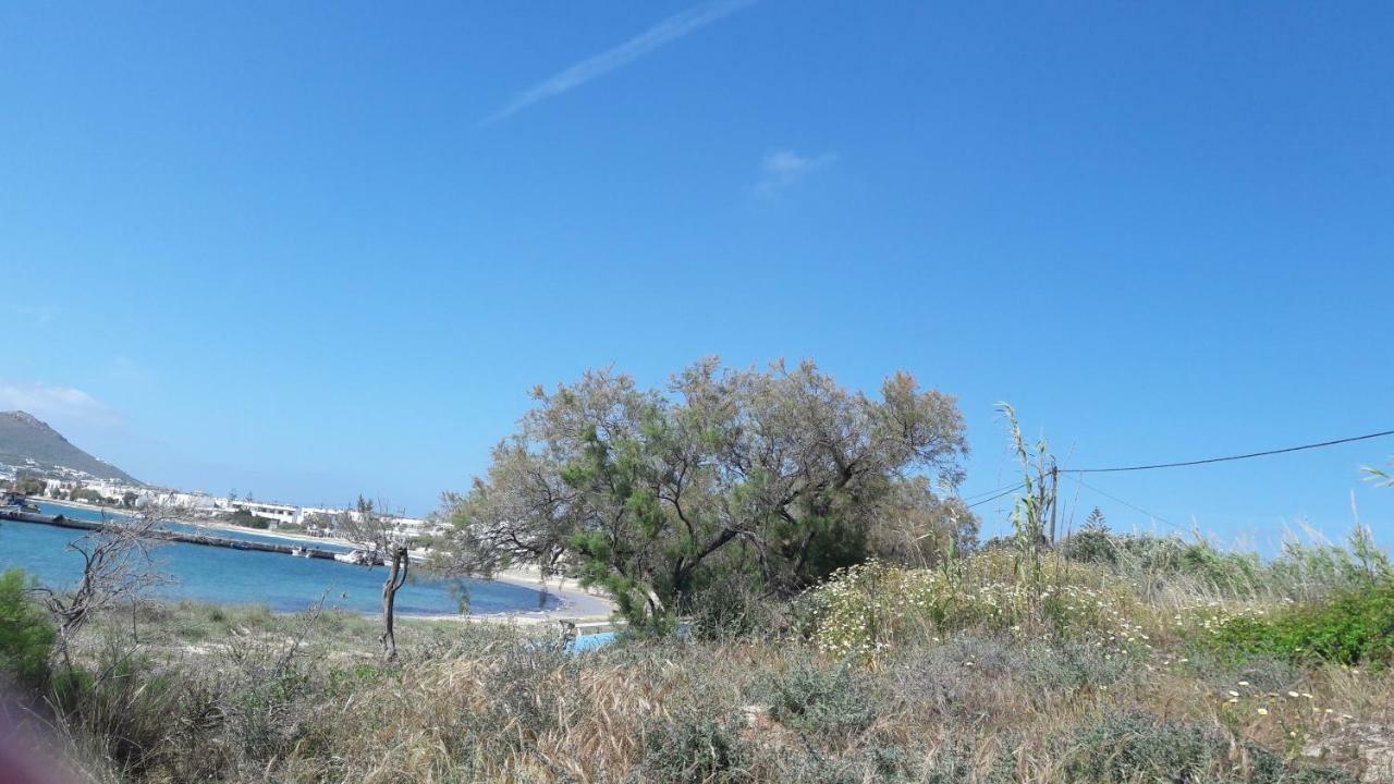 Chez Irene Sweet Pension Naxos City Экстерьер фото